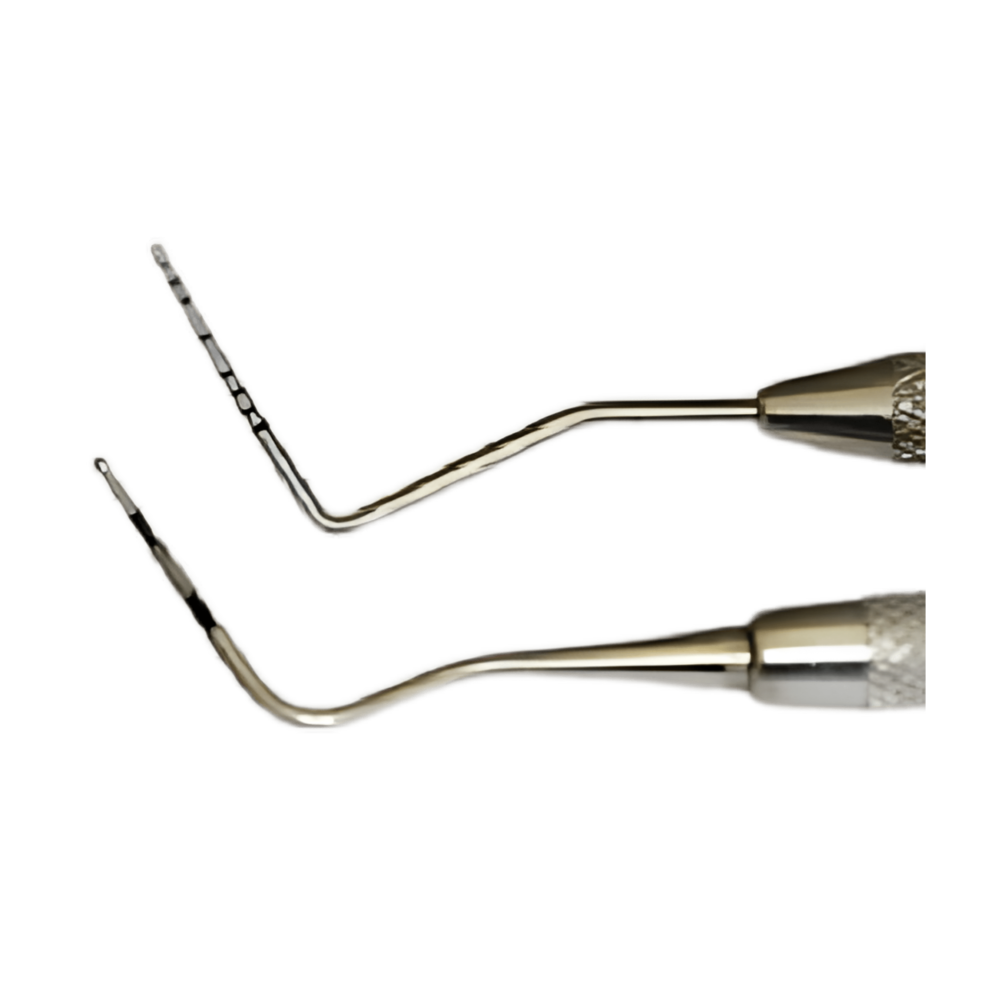 WHO Probe/CPITN Probe